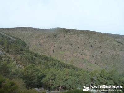 Cascada de Mojonavalle - Sierra de la Morcuera;calzado senderismo mujer